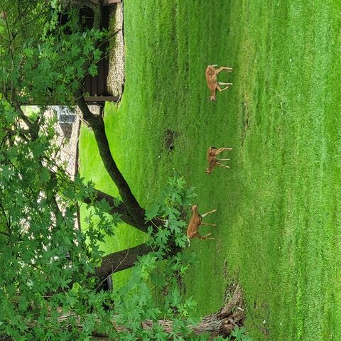 Tiny photo for 2917 Brookview Drive #1, Freeport, IL 61032 (MLS # 12586995)