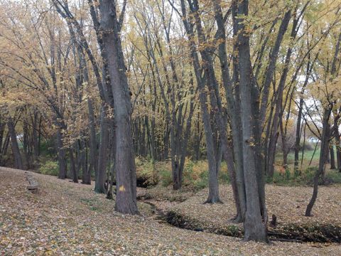 Tiny photo for 2917 Brookview Drive #1, Freeport, IL 61032 (MLS # 12586995)