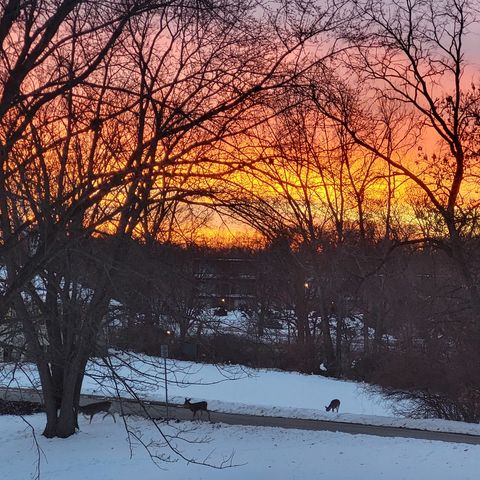 Tiny photo for 2917 Brookview Drive #1, Freeport, IL 61032 (MLS # 12586995)