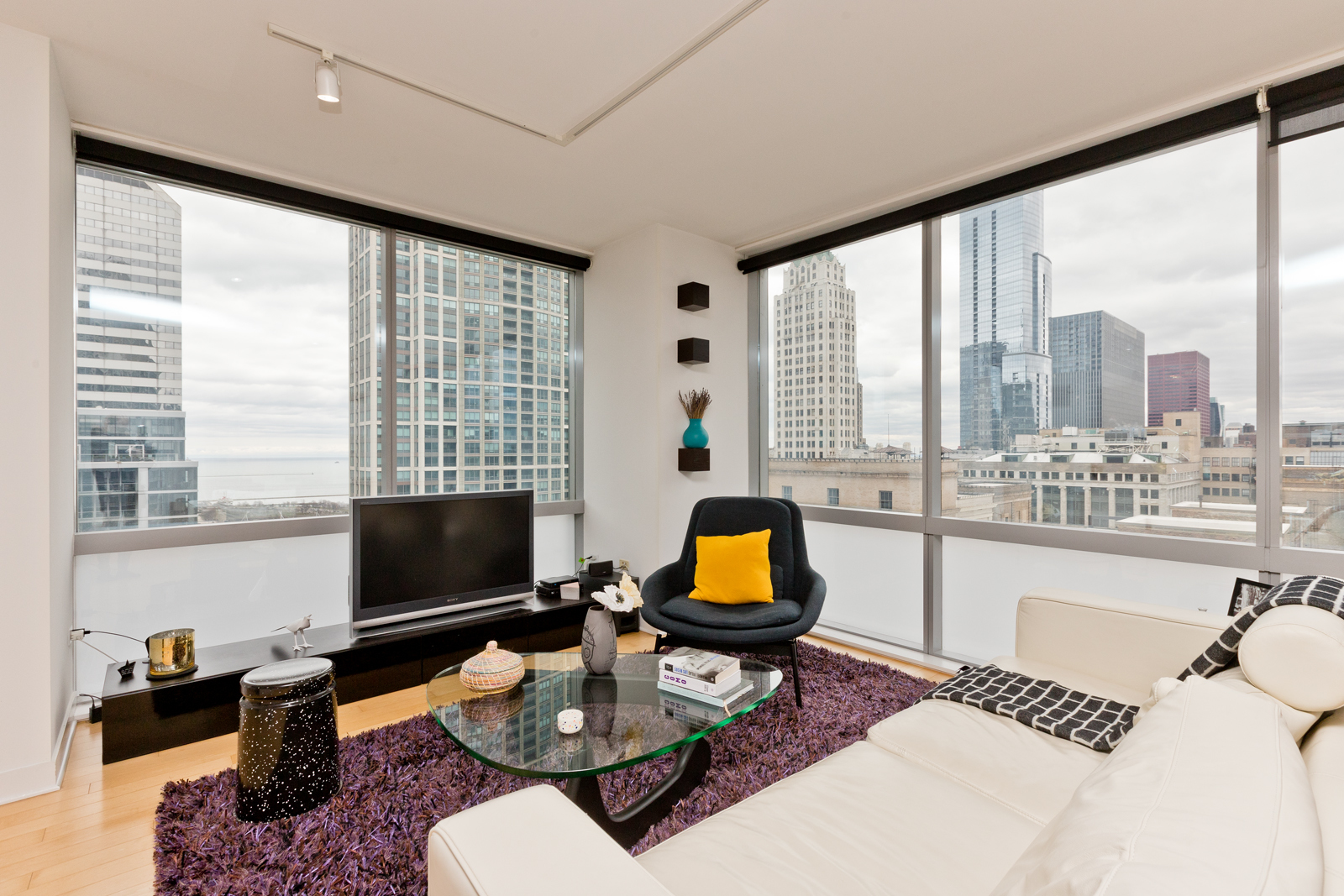 8 E Randolph Street 2204