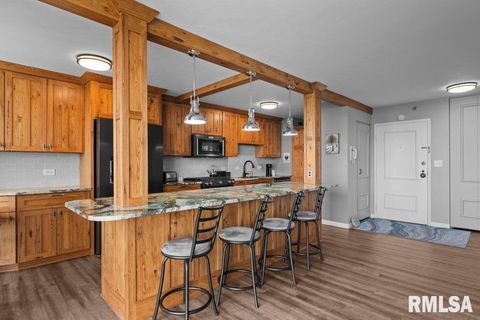 Tiny photo for 1800 7TH Street #10D, East Moline, IL 61244 (MLS # QC4269792)