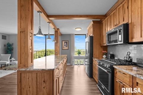 Tiny photo for 1800 7TH Street #10D, East Moline, IL 61244 (MLS # QC4269792)