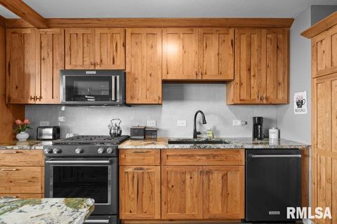 Tiny photo for 1800 7TH Street #10D, East Moline, IL 61244 (MLS # QC4269792)