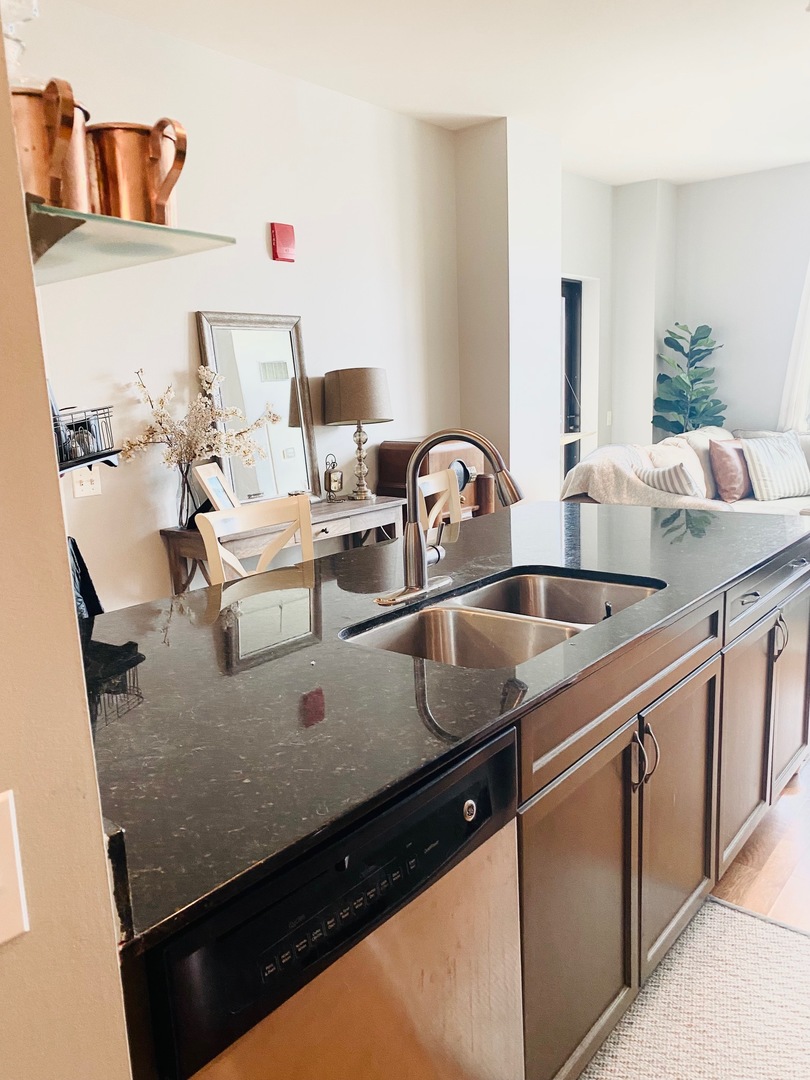 511 W Division Street 505