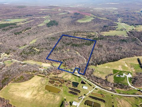 Tiny photo for 526 Shiloh Road, Cobden, IL 62920 (MLS # 12602797)