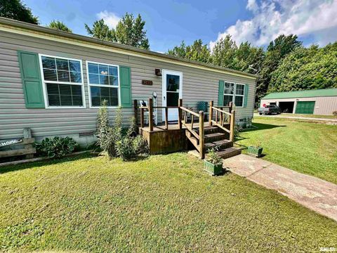 Tiny photo for 1409 W 5TH Street, West Frankfort, IL 62896 (MLS # EB458920)