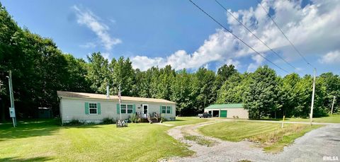 Photo of 1409 W 5TH Street, West Frankfort, IL 62896 (MLS # EB458920)