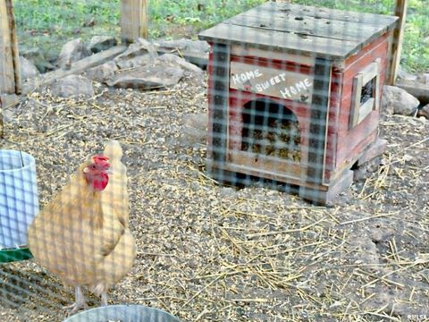 Tiny photo for 1409 W 5TH Street, West Frankfort, IL 62896 (MLS # EB458920)