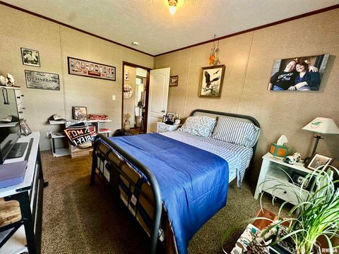 Tiny photo for 1409 W 5TH Street, West Frankfort, IL 62896 (MLS # EB458920)