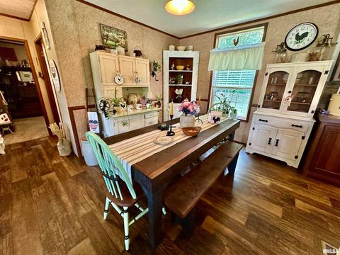 Tiny photo for 1409 W 5TH Street, West Frankfort, IL 62896 (MLS # EB458920)