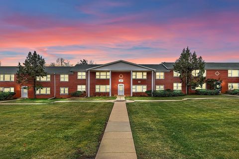 209 W Johnson Street 1B Palatine IL 60067