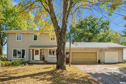 Photo of 904 5TH Street, Erie, IL 61250 (MLS # QC4268258)