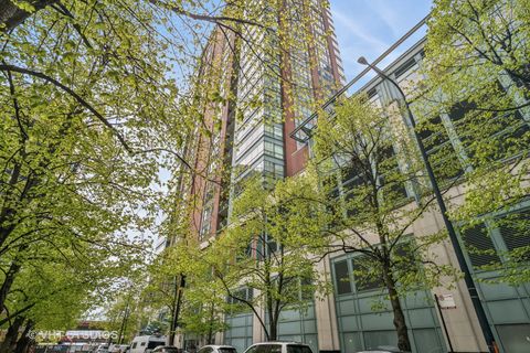 445 E North Water Street 1103 Chicago IL 60611