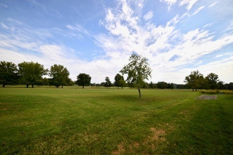 Tiny photo for 1010 Mulligan Drive #1010, Mt Vernon, IL 62864 (MLS # 12765078)