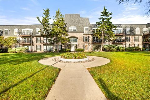 5200 CARRIAGEWAY Drive 218 Rolling Meadows IL 60008