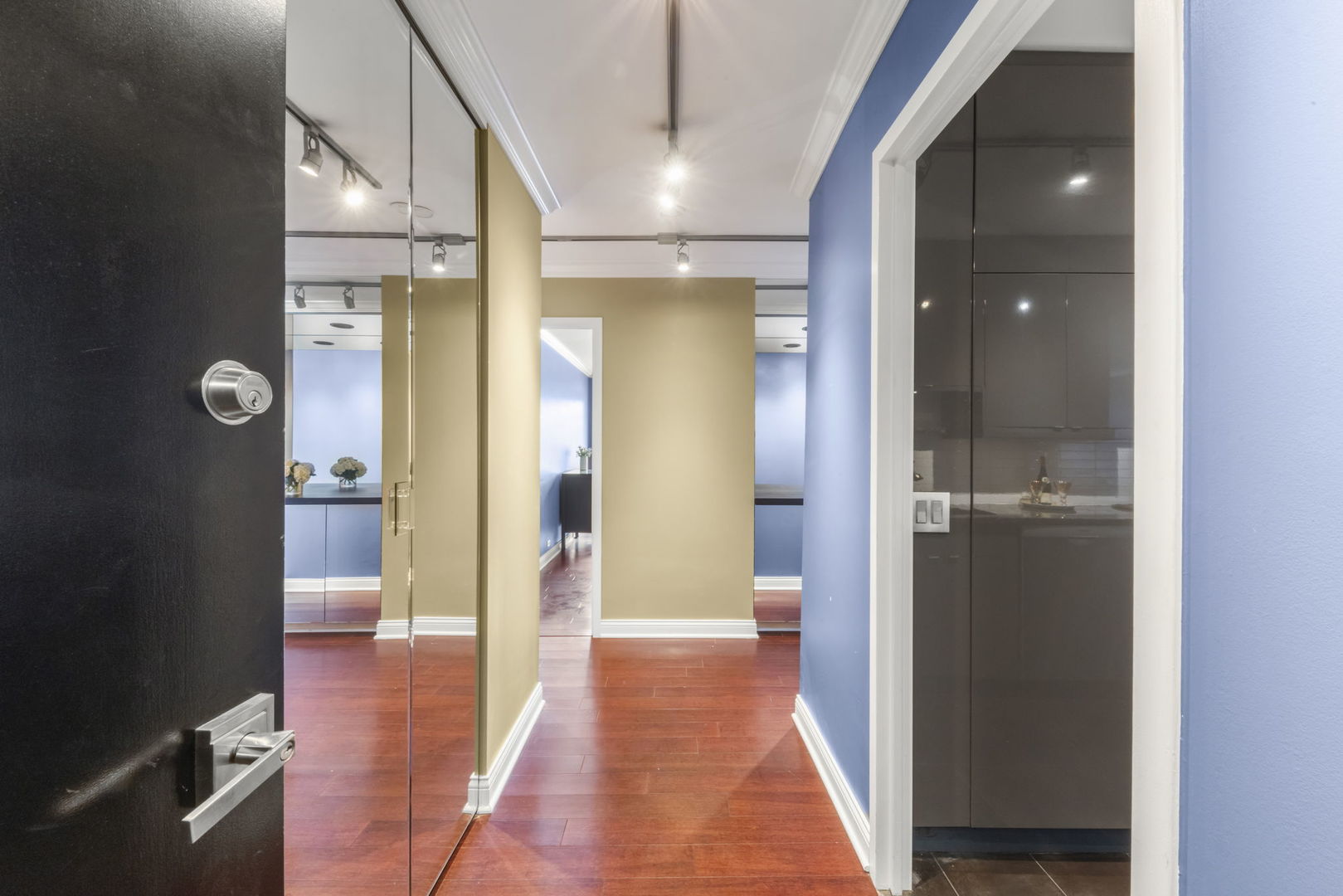 1555 N Sandburg Terrace 305K