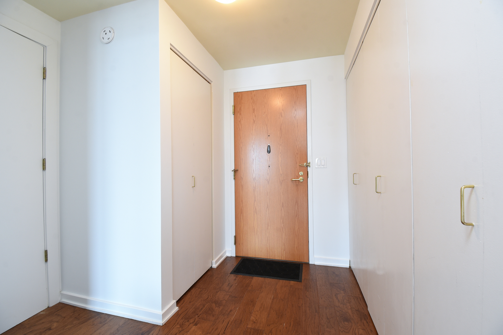 345 N La Salle Drive 1702