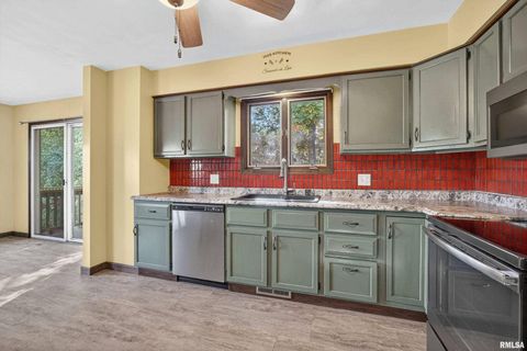 Tiny photo for 8312 ROUTE 150, Coal Valley, IL 61240 (MLS # QC4267639)