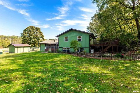 Tiny photo for 8312 ROUTE 150, Coal Valley, IL 61240 (MLS # QC4267639)