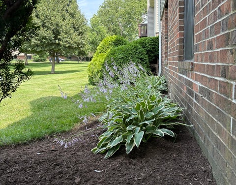 Tiny photo for 966 Cross Creek Drive #A1, Roselle, IL 60172 (MLS # 12792441)