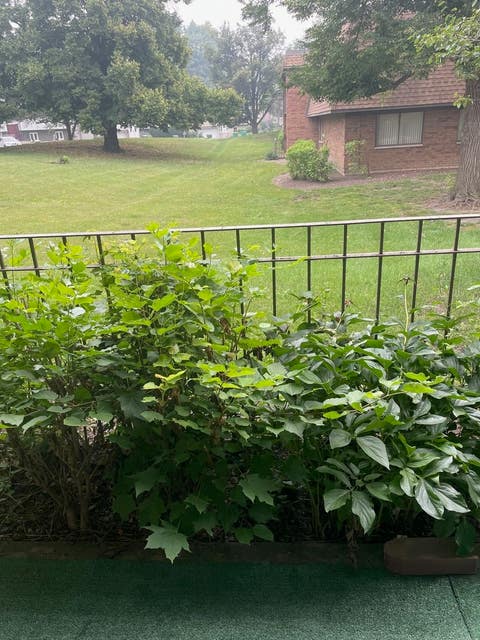 Tiny photo for 230 N OLD OAK Drive #171, Buffalo Grove, IL 60089 (MLS # 12716377)