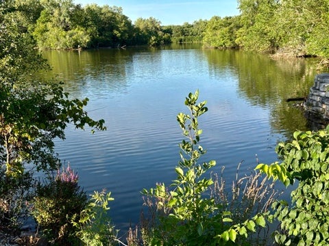 Tiny photo for 5850 Forest View Road #A, Lisle, IL 60532 (MLS # 12741506)