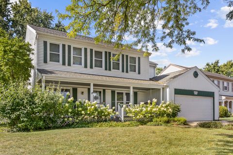 Photo of 413 Linsey Avenue, Schaumburg, IL 60194 (MLS # 12475466)