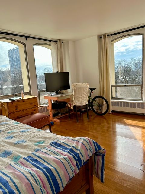 Tiny photo for 1451 E 55th Street #430N, Chicago, IL 60615 (MLS # 12585188)