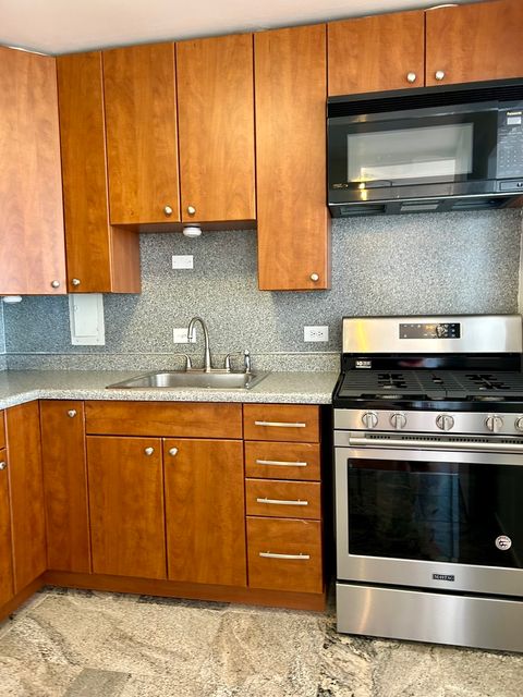Tiny photo for 1451 E 55th Street #430N, Chicago, IL 60615 (MLS # 12585188)