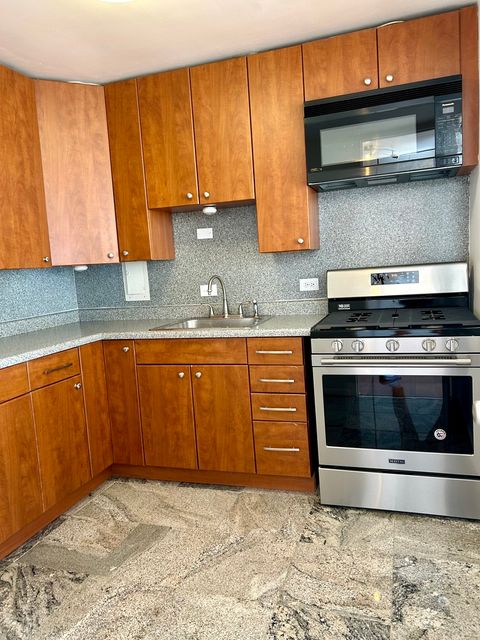 Tiny photo for 1451 E 55th Street #430N, Chicago, IL 60615 (MLS # 12585188)
