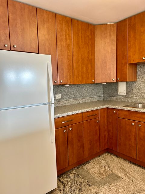Tiny photo for 1451 E 55th Street #430N, Chicago, IL 60615 (MLS # 12585188)