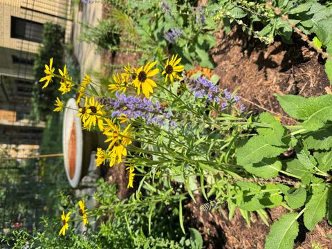 Tiny photo for 4889 N Hermitage Avenue, Chicago, IL 60640 (MLS # 12525134)