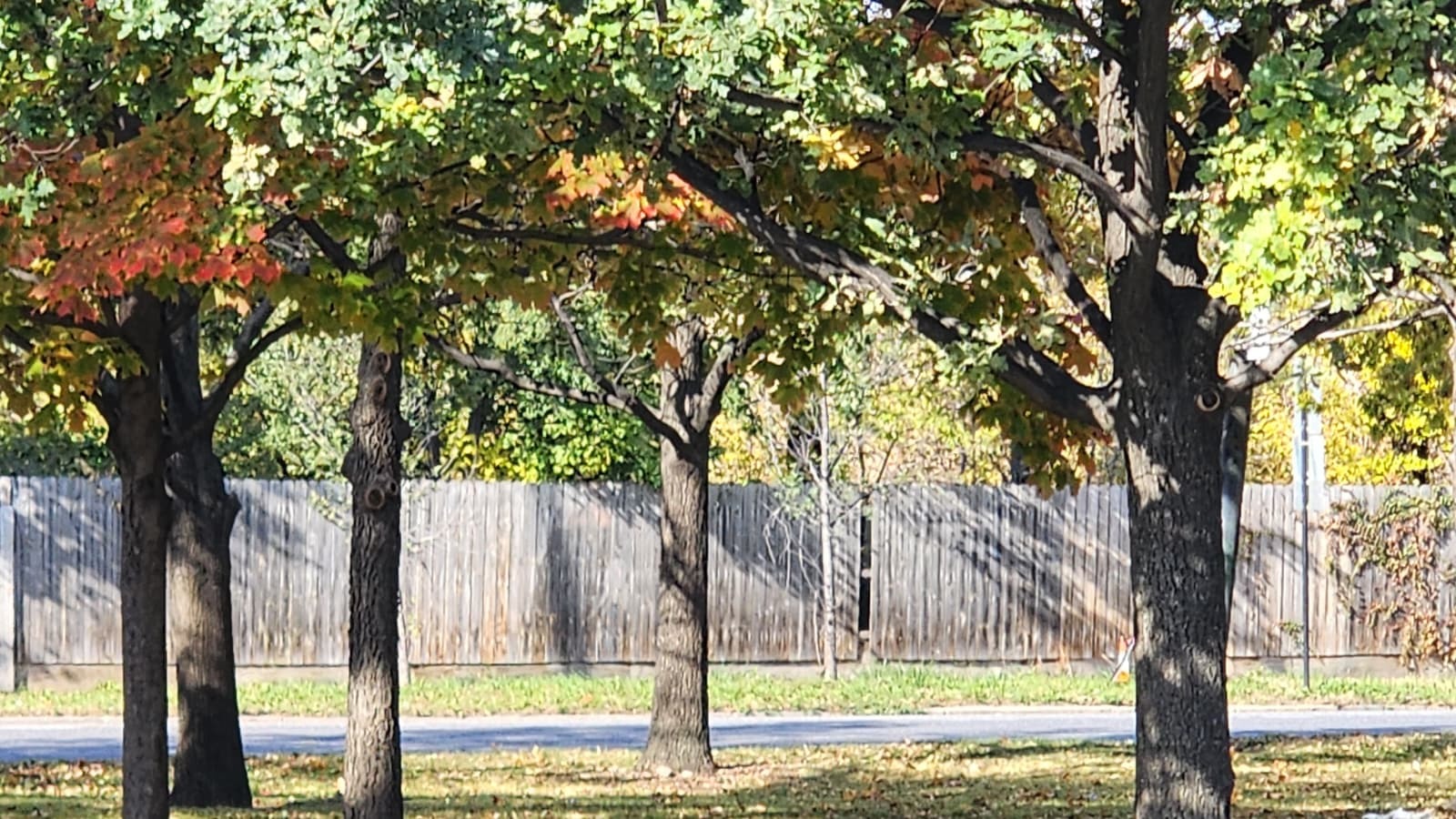 4926 S Western Avenue