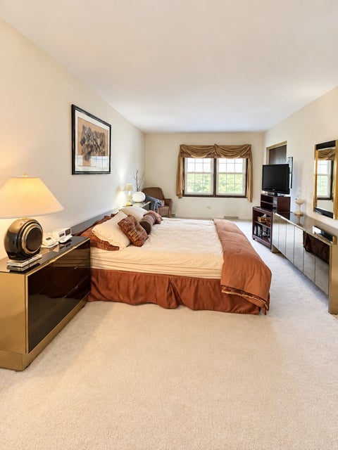 Tiny photo for 709 Garfield Avenue, Libertyville, IL 60048 (MLS # 12707937)