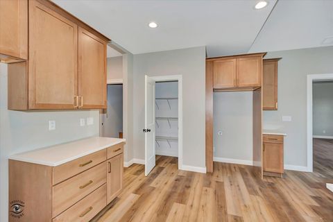 Tiny photo for 1175 S. Farmstone Drive, Diamond, IL 60416 (MLS # 12503670)