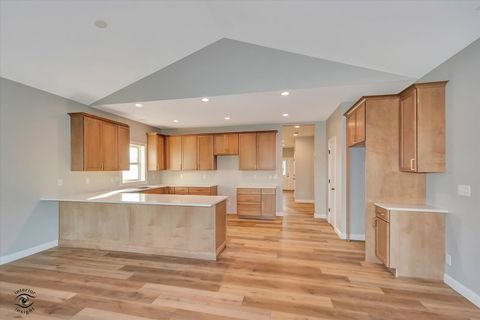 Tiny photo for 1175 S. Farmstone Drive, Diamond, IL 60416 (MLS # 12503670)