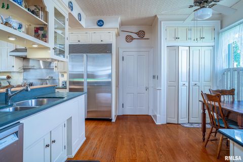 Tiny photo for 704 RIVER Street, Sabula, IA 52070 (MLS # QC4267774)