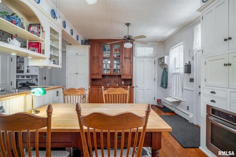 Tiny photo for 704 RIVER Street, Sabula, IA 52070 (MLS # QC4267774)