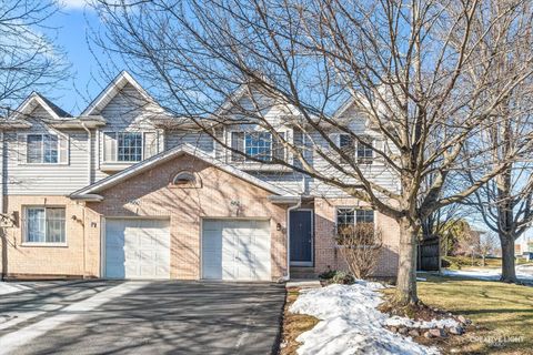 Photo of 862 N First Street #862, Elburn, IL 60119 (MLS # 12531828)