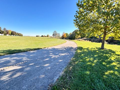 Tiny photo for 216 S Mcguire Drive, Manteno, IL 60950 (MLS # 12521757)