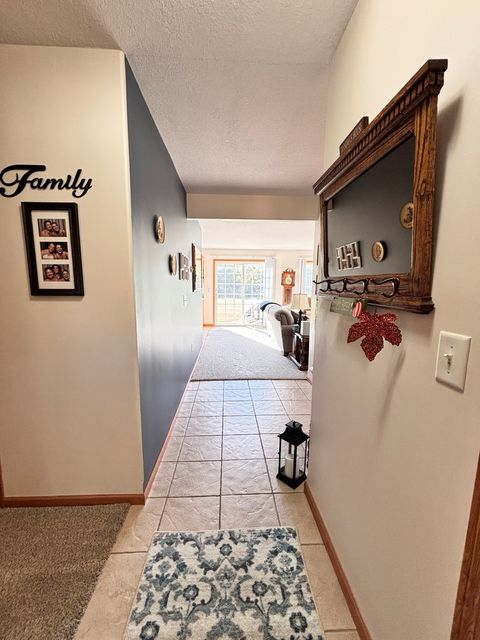 Tiny photo for 216 S Mcguire Drive, Manteno, IL 60950 (MLS # 12521757)