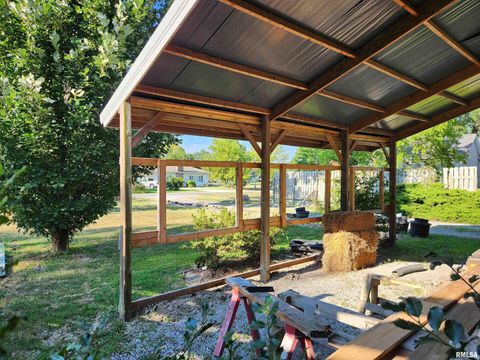 Tiny photo for 5628 COAL Street, Sesser, IL 62884 (MLS # EB459161)