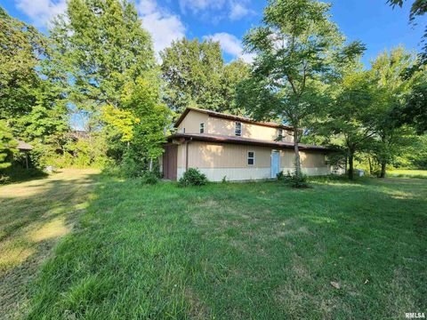 Tiny photo for 5628 COAL Street, Sesser, IL 62884 (MLS # EB459161)