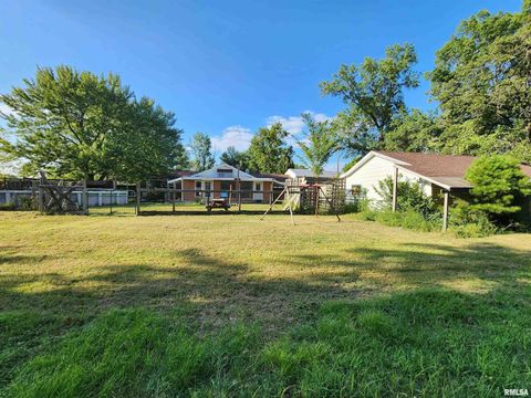 Tiny photo for 5628 COAL Street, Sesser, IL 62884 (MLS # EB459161)