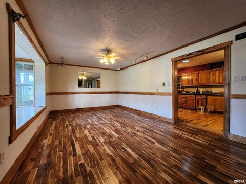 Tiny photo for 5628 COAL Street, Sesser, IL 62884 (MLS # EB459161)