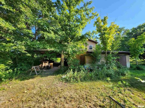 Tiny photo for 5628 COAL Street, Sesser, IL 62884 (MLS # EB459161)