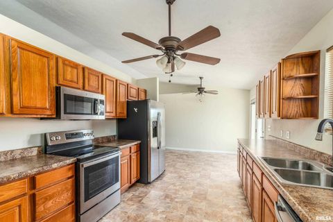 Tiny photo for 1304 HAZEL Street, Johnston City, IL 62951 (MLS # EB460333)