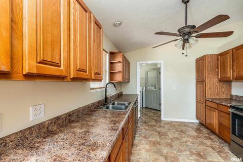 Tiny photo for 1304 HAZEL Street, Johnston City, IL 62951 (MLS # EB460333)