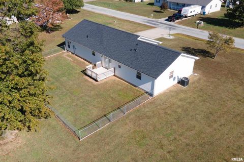 Tiny photo for 1304 HAZEL Street, Johnston City, IL 62951 (MLS # EB460333)