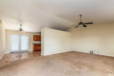 Tiny photo for 1304 HAZEL Street, Johnston City, IL 62951 (MLS # EB460333)